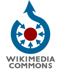 Wiki